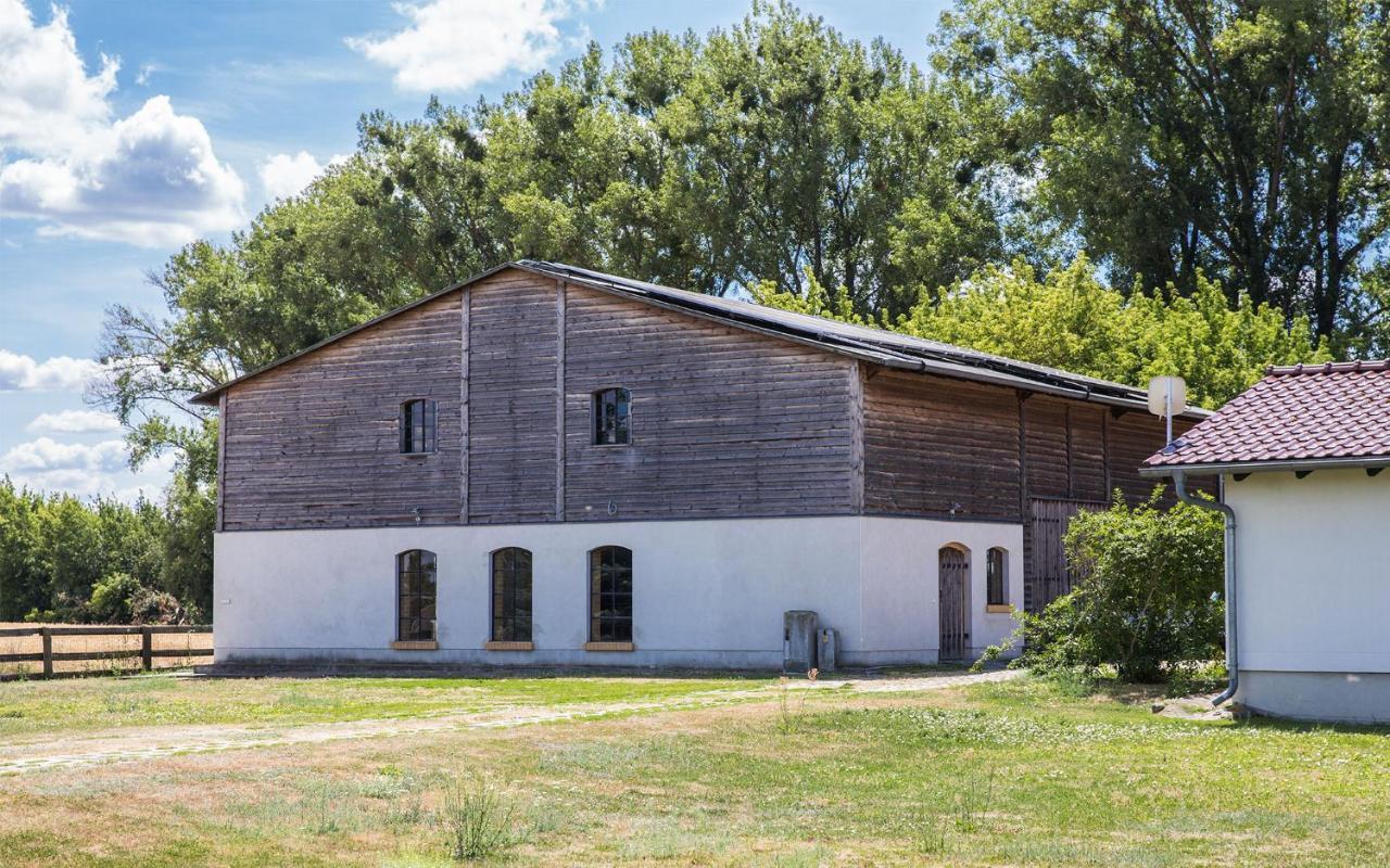 Apartmán Sohl Farm Neutrebbin Exteriér fotografie