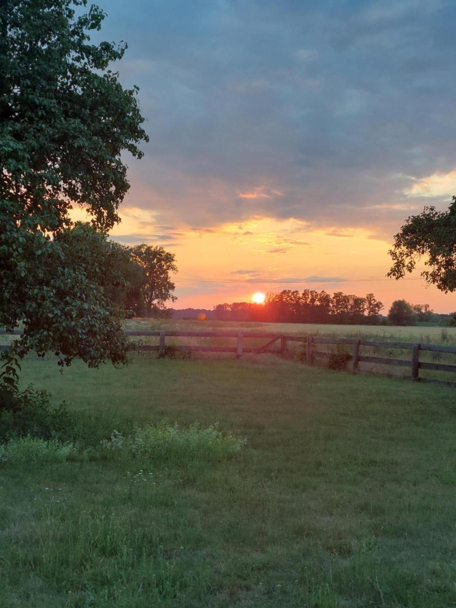 Apartmán Sohl Farm Neutrebbin Exteriér fotografie